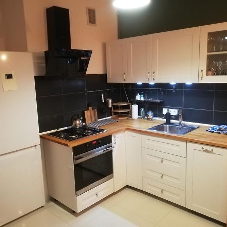 Blue Apartment - Near Spodek 卡托维兹 外观 照片