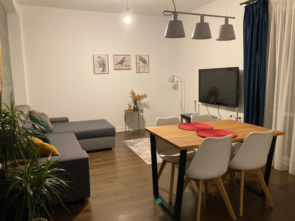 Blue Apartment - Near Spodek 卡托维兹 外观 照片